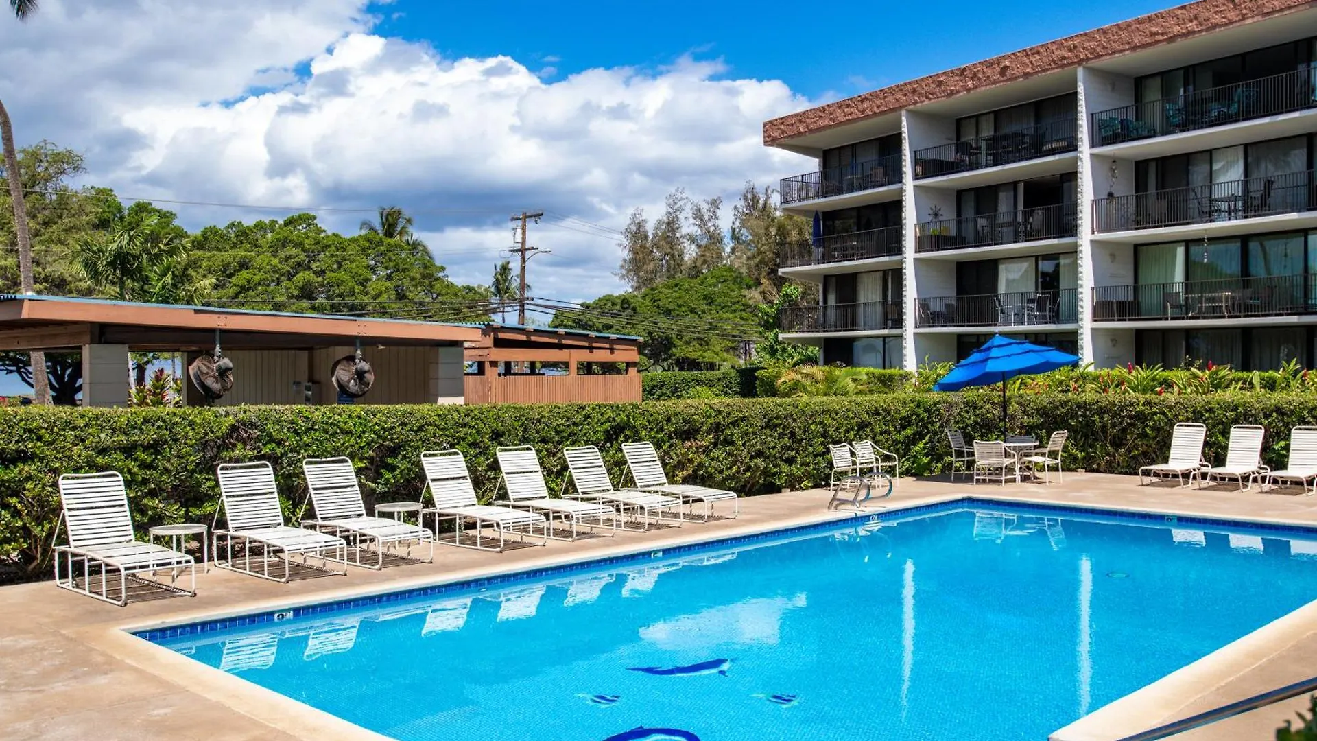 Apartment Calina'S Maui Parkshore Kam Lll Ocean Front View Wailea